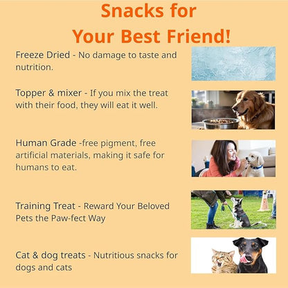 Puppyluv Treat - Freeze Dried Salmon Dog &amp; Cat Treats, Wild Caught, Single Ingredient, Natural High Protein &amp; Fish Oil, Grain Free Gluten Free, 3.2oz