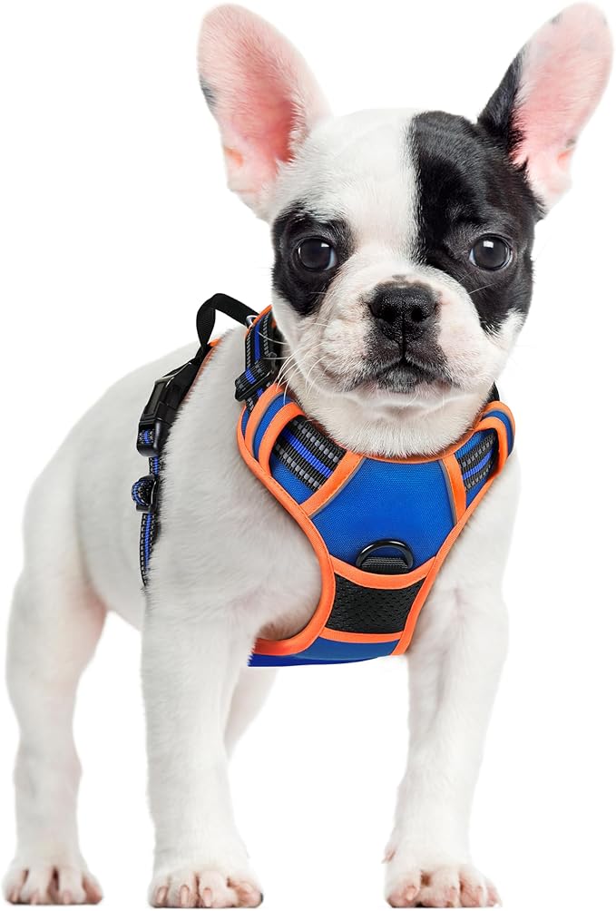 rabbitgoo Dog Harness No Pull with 2 Leash Clips, Adjustable Soft Padded, Reflective Oxford No Choke Pet Vest with Easy Control Handle for Small Dogs, Blue &amp; Orange, S