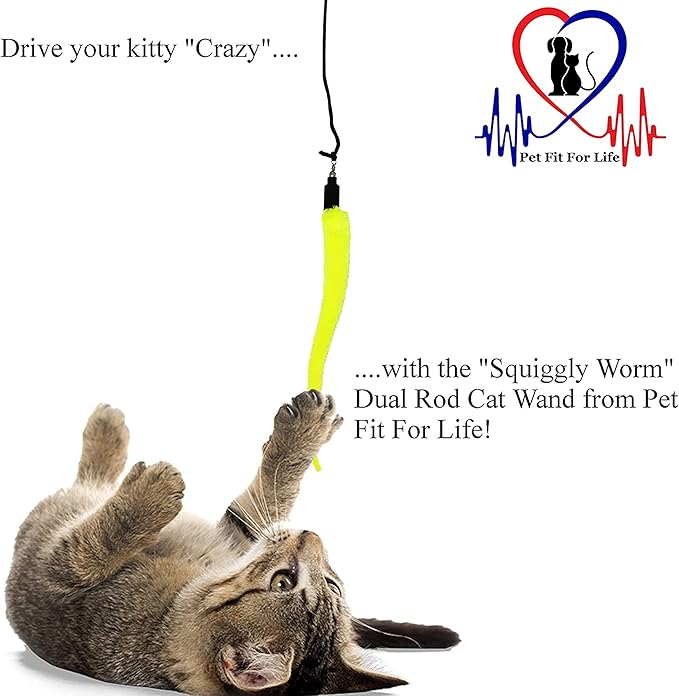 Pet Fit For Life Cat Wand Toy: 5-Piece Worm Teaser &amp; Exerciser - Durable Flirt Pole/Cat Teaser Toy – Interactive Fun for Feline Fitness
