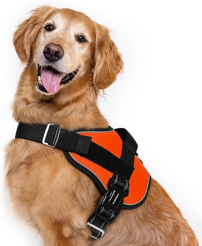rabbitgoo Dog Harness for Large, Easy On Pet Vest with One Buckle, No Pull Adjustable Service Harness with D-Ring &amp; Handle, Reflective for Safety Walking, Training, Orange, XL