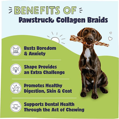 Pawstruck Natural Large 10-13” Beef Collagen Braids for Dogs – Long-Lasting Rawhide &amp; Bully Stick Alternative, with Chondroitin &amp; Glucosamine – 3 Pack
