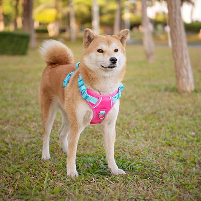PHOEPET No Pull Dog Harness, Unique Colors Reflective Adjustable Dog Vest, with Soft Training Handle Metal Clips for Small Medium Large Dogs (Pink Base &amp; Green Straps,XS)