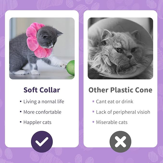 Dog Cat Surgical Recovery Cone, Pet Protective Collar, Soft Neck Cone to Stop Licking Wound for Cats &amp; Kittens, Small Dogs After Surgery