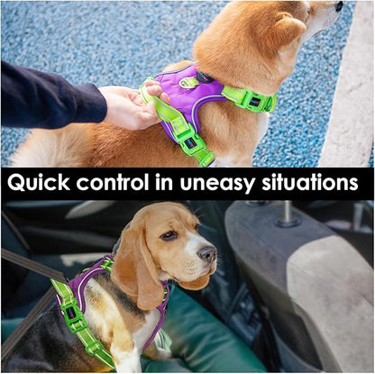 PHOEPET No Pull Dog Harness, Unique Colors Reflective Adjustable Dog Vest, with Soft Training Handle Metal Clips for Small Medium Large Dogs (Purple Base &amp; Green Straps,XL)