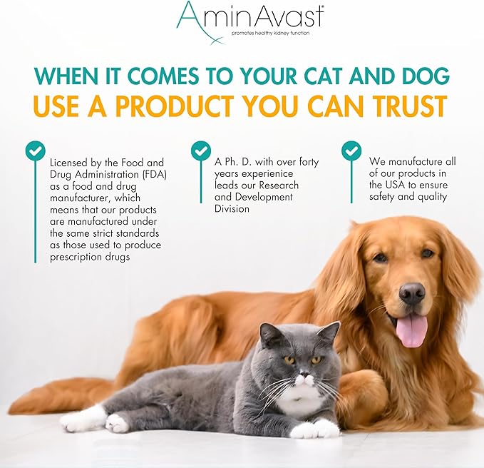 AminAvast Small Dogs &amp; Cat Kidney Support - Promotes Healthy Kidney Support in Cats &amp; Small Dogs - 300mg, 60 Capsule