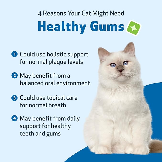 Pet Wellbeing Healthy Gums for Cats - Gums &amp; Dental Health, Oral Care, Healthy Breath, Coenzyme Q10, Zinc Oxide, Calendula, Marshmallow Root - Veterinarian-Formulated Holistic Topical 4 oz (118 ml)