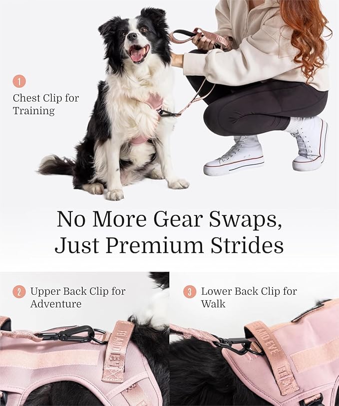 2025 New Edition, Fei &amp; Eve MagEase Dog Harness - 3-Second Magnetic Buckles | 3-Point No-Pull Control | Heavy-Duty 900D Nylon | Dual Safety Handles | Breathable Mesh | Adjustable Fit | X-Large, Pink
