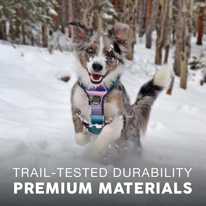 Embark Adventure Dog Harness, Reflective Trim No Pull Harness for Medium Sized Dog - Military Grade Nylon, Front Clip with Gel Lined Handle. Soft &amp; Padded Puppy