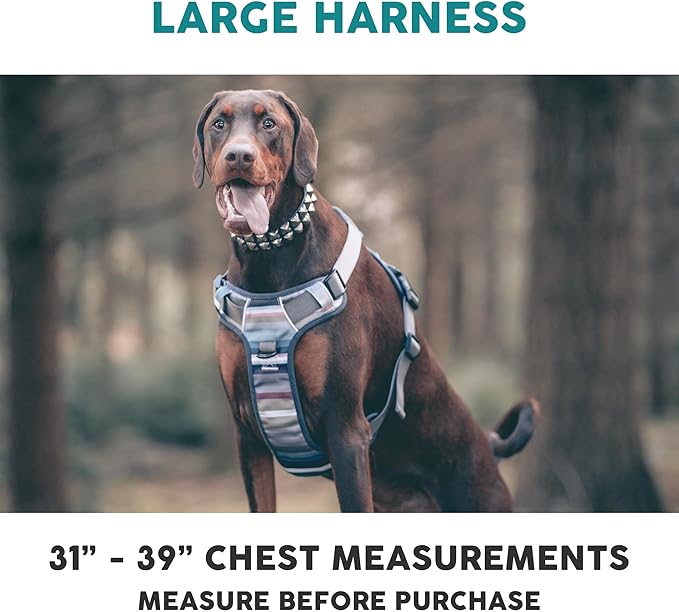 Embark Adventure Dog Harness, Reflective Trim No Pull Harness for Large Dogs - Military Grade Nylon, Front Clip with Gel Lined Handle. Soft &amp; Padded Puppy Harnesses for Any Breed