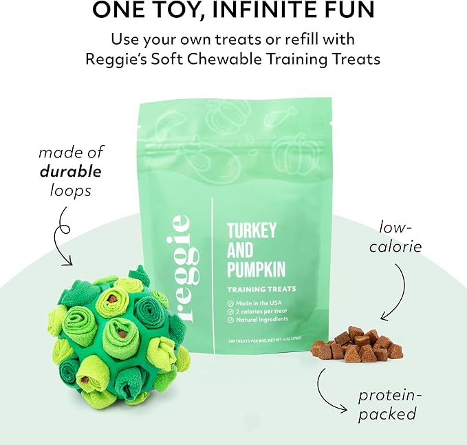 Reggie Forager Ball for Dogs | Mealtime Enrichment Toy | Reduces Boredom, Hyperactivity, Stress | Vet-Approved &amp; Ideal for All Ages, Breeds, and Sizes (Forager Ball - Turkey &amp; Pumpkin)