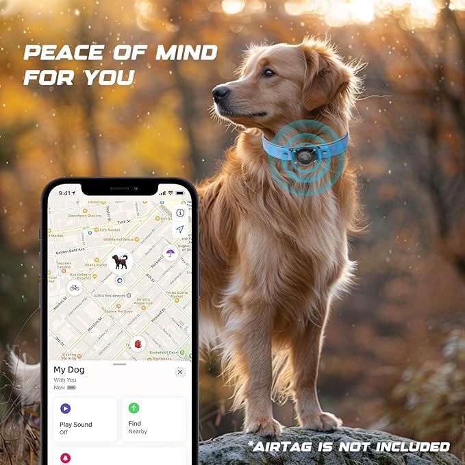 AirTag Dog Collar - Leather Dog Collar with Air Tag Holder | IPX8 Waterproof, Reflective, High - End, Adjustable Soft Padded | Dog GPS Tracker Collars Fit for Medium Large Dogs (Blue, M)