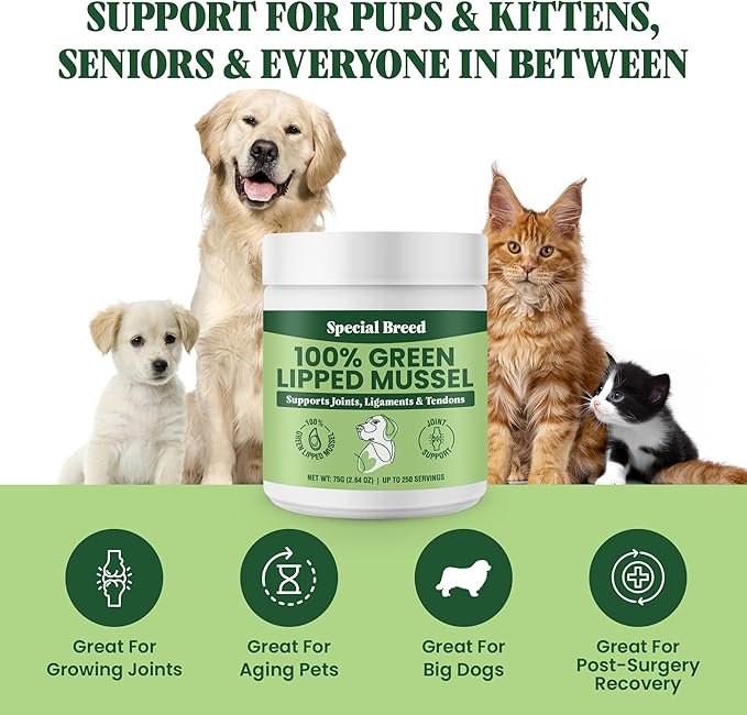 Green Lipped Mussel Powder for Dogs &amp; Cats - 100% New Zealand Green Lipped Mussels - Natural Hip &amp; Joint Supplement for Joints, Tendons, Ligaments, Muscles - 75 Grams - Up to 250 Servings