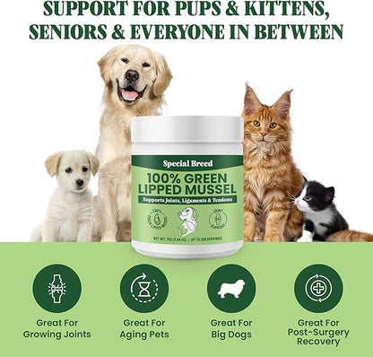 Green Lipped Mussel Powder for Dogs &amp; Cats - 100% New Zealand Green Lipped Mussels - Natural Hip &amp; Joint Supplement for Joints, Tendons, Ligaments, Muscles - 75 Grams - Up to 250 Servings