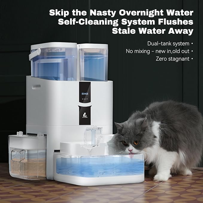Daily Fresh Cat Water Fountain 10L/338oz Self Filling and Cleaning, Pet Water Dispenser with Filter System for Dogs, 5G Wi-Fi Smart Bowl Wastewater Separation &amp; No Slimy with Quiet Pumps