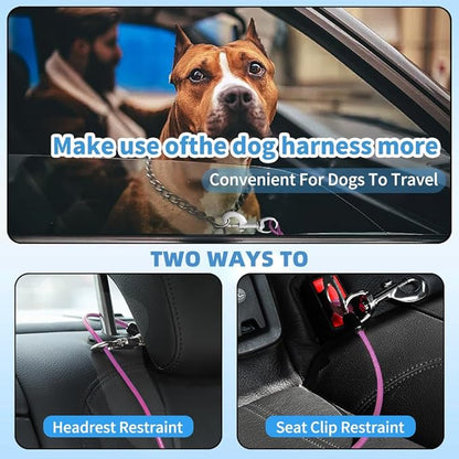 Dog Seat Belt Harness for Car,Dog Seatbelt of Coated Wire Leash Safety Restraint,No Chew Tether Cable Vehicle,Double Clips &amp; Latch (Purple, 24 inch/60 CM)