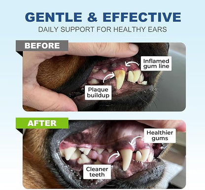 Dog Dental Care Finger Wipes, 60 PCS Teeth Cleaning Wipes for Dogs &amp; Cats, Tooth Brushing Kit Dental Wipes Reduces Plaque &amp; Freshens Breath, Disposable Gentle Cleaning &amp; Gum Care Pet Wipe