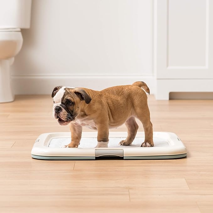 IRIS USA Pee Pad Holder - For Potty Training Regular Sized Dog &amp; Puppy Pee Pads, Secured Latches, Non-Skid Feet, Leak Protection, Fits 22"x22" Pad or Larger, Square, Blue