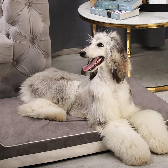 Laifug Orthopedic Memory Foam Extra Large Dog Bed with Pillow and Durable Water Proof Liner &amp; Removable Washable Cover &amp; Smart Design (Large (46"x28"x8"), Grey)