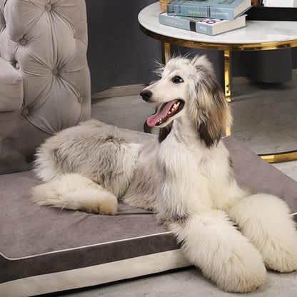 Laifug Orthopedic Memory Foam Extra Large Dog Bed with Pillow and Durable Water Proof Liner &amp; Removable Washable Cover &amp; Smart Design (Large (46"x28"x8"), Grey)