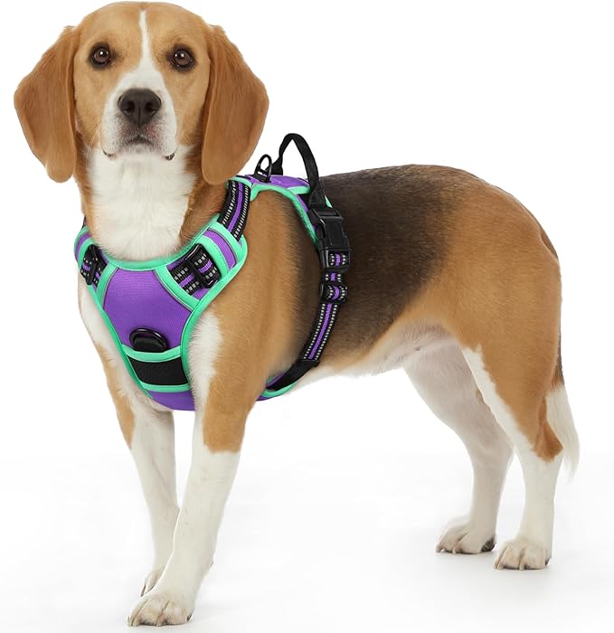 Eagloo Dog Harness Small Sized Dog, No Pull Service Vest with Reflective Strips and Control Handle, Adjustable and Comfortable for Walking, No Choke Pet Harness with 2 Metal Rings, Purple &amp; Green, S