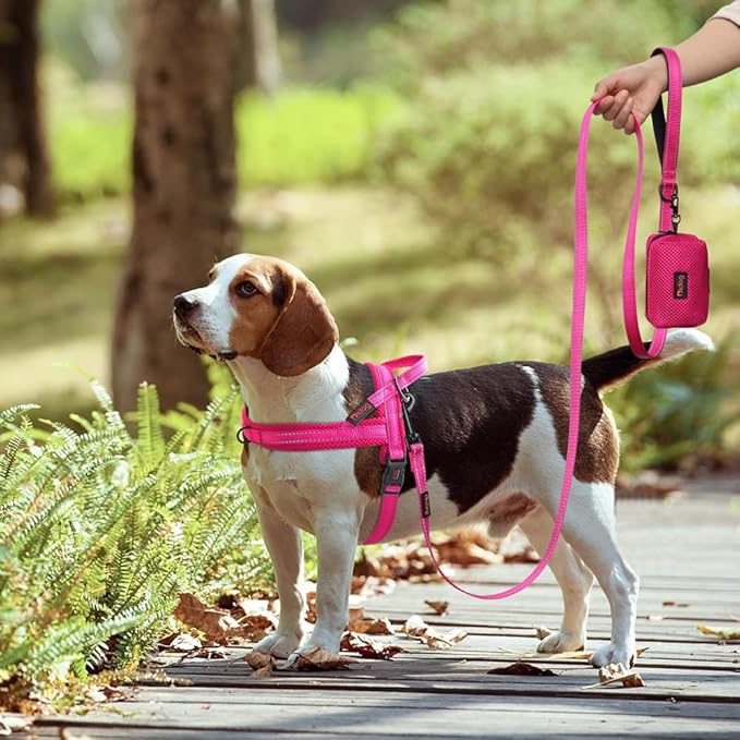 Didog No Pull Dog Harness with Soft Mesh Padded,Reflective &amp; Quick Fit Light Weight Dog Strap Vest Harness,Easy for Walking Training (M:Chest 21-26", Mesh-Hot Pink)