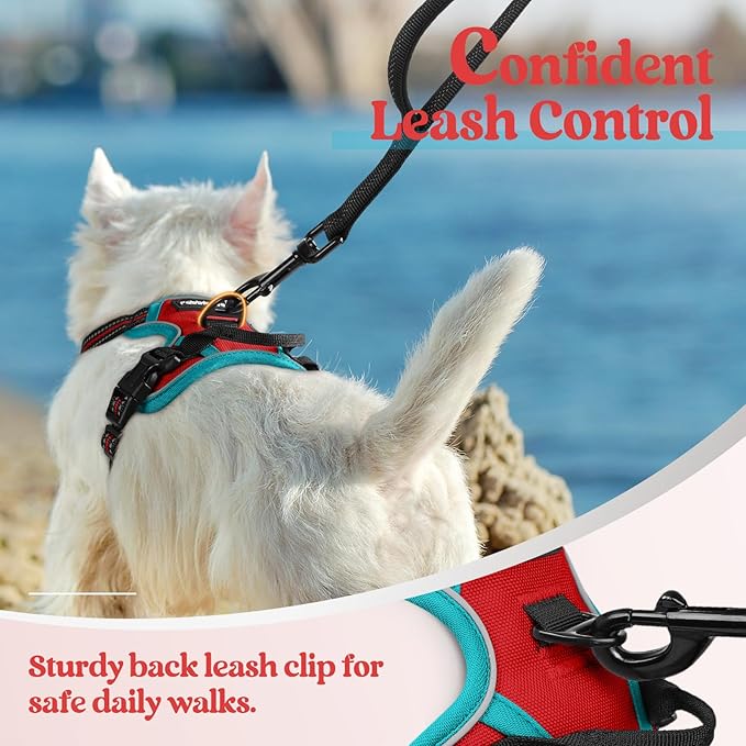 rabbitgoo Dog Harness No Pull with 2 Leash Clips, Adjustable Soft Padded, Reflective Oxford No Choke Pet Vest with Easy Control Handle for Puppy, Red &amp; Teal, XS