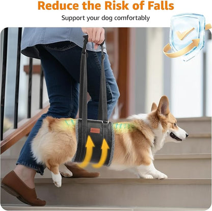 LOOBANI Portable Dog Sling for Back Legs, Hip Support Harness to Help Lift Dogs Rear for Canine Aid and Old K9 Cruciate Ligament Rehabilitation