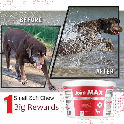 TS Joint Supplement Vet Formulated Pain &amp; Inflammation Relief Treats Hip Dysplasia &amp; Arthritis, Glucosamine, Chondroitin, Turmeric, MSM, HA, Creatine, Omega 3 EPA + DHA.120 Soft Chews