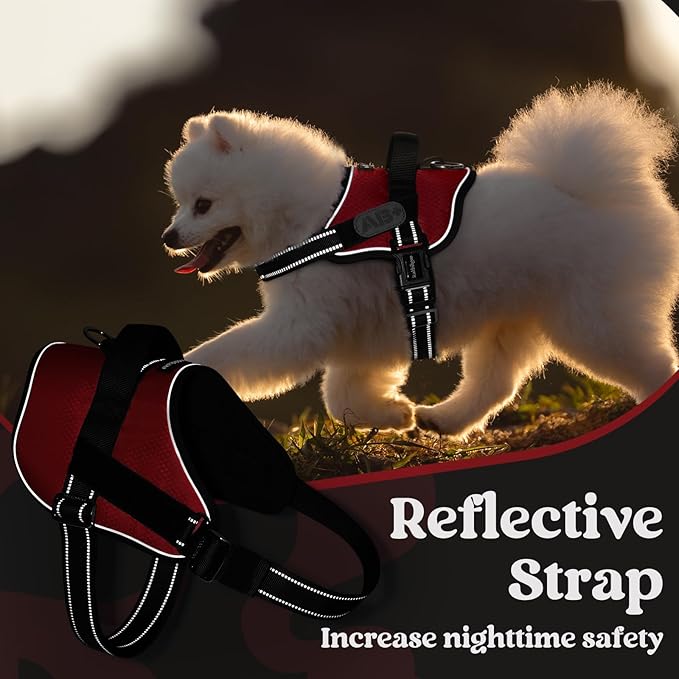 rabbitgoo Dog Harness Medium Sized, Easy On Pet Vest with One Buckle, No Pull Adjustable Service Harness with D-Ring &amp; Handle, Reflective for Safety Walking, Training, Red, M