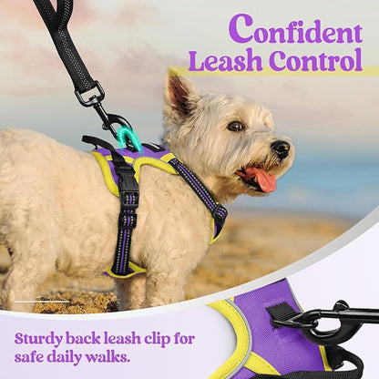 rabbitgoo Dog Harness No Pull with 2 Leash Clips, Adjustable Soft Padded, Reflective Oxford No Choke Pet Vest with Easy Control Handle for Puppy, Purple &amp; Yellow, XS