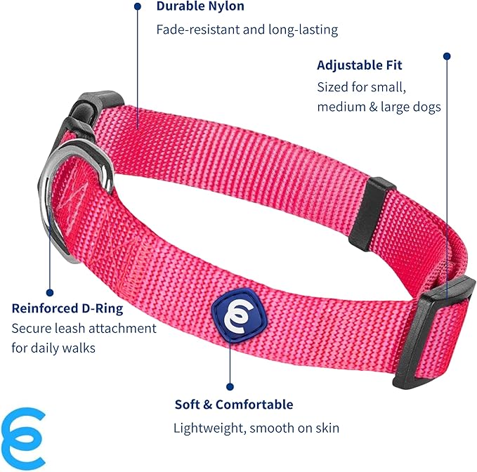 Blueberry Pet Essentials Medium Dog Collar in French Pink | Adjustable &amp; Eco-Friendly Durable Nylon Strap | Classic Collar for Medium Dogs, Boy &amp; Girl Pets