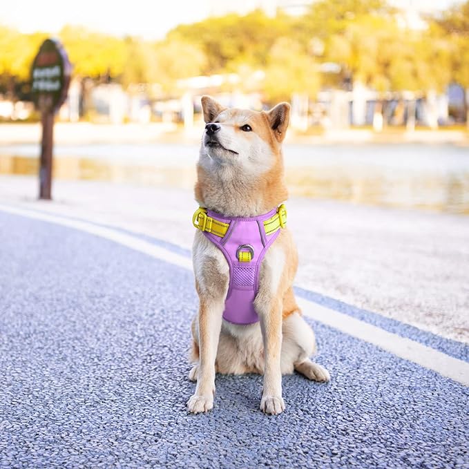 PHOEPET No Pull Dog Harness, Unique Colors Reflective Adjustable Dog Vest, with Soft Training Handle Metal Clips for Small Medium Large Dogs (Baby Purple Base &amp; Yellow Straps,M)
