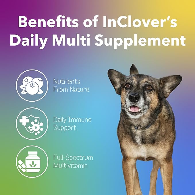 InClover Daily Multi Cat &amp; Dog Vitamin - Canine &amp; Feline Vitality Powder - Immunity Boost with Organic Blueberry, Seaweed, Turkey Tail Mushroom &amp; Postbiotic Fibers - Critical Immune Defense Supplement