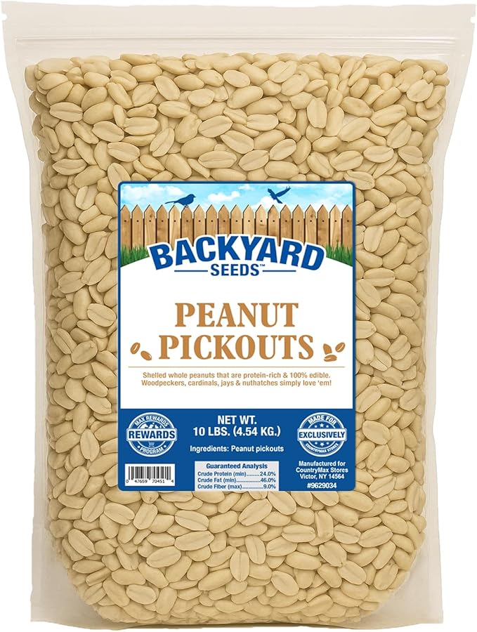 CountryMax Backyard Seeds Shelled Whole Peanuts for Woodpeckers, Birds, Squirrels &amp; Wildlife – Premium Wild Animal Food, 10 lbs Bag