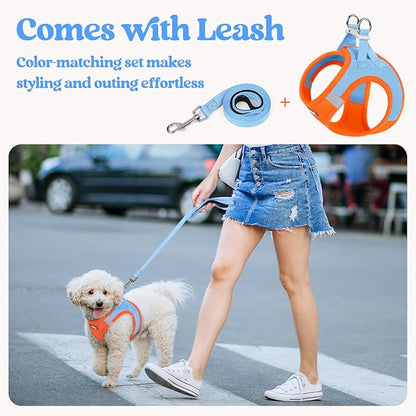 rabbitgoo Dog Harness Small Medium Sized and Leash Set, Step in Soft Light Puppy Vest, Breathable Mesh Pet Harness, Reflective for Safe Easy Walking, Blue &amp; Orange XL