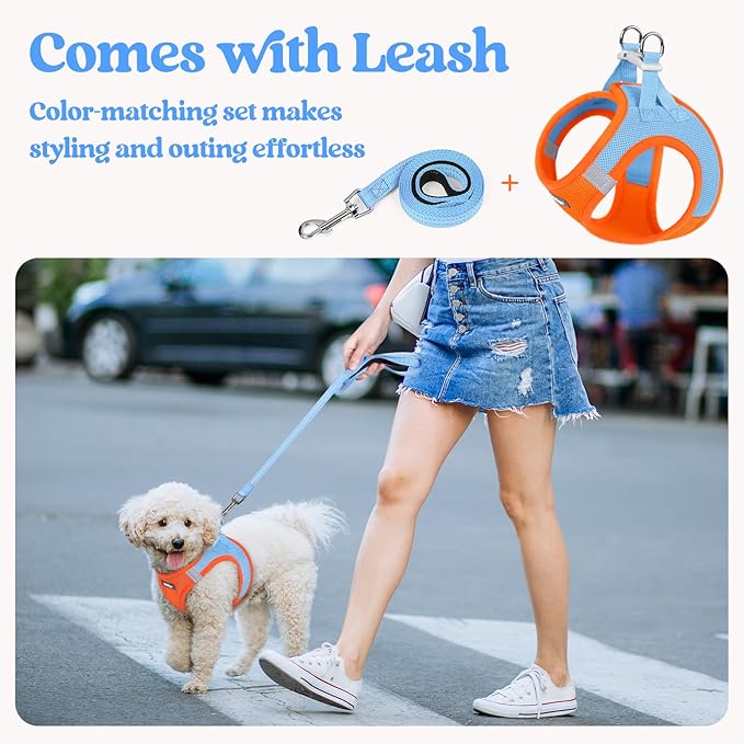 rabbitgoo Dog Harness Small Sized and Leash Set, Step in Soft Light Puppy Vest, Breathable Mesh Pet Harness, Reflective for Safe Easy Walking, Blue &amp; Orange M