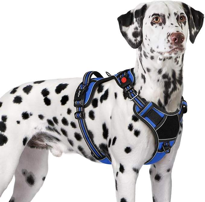 Eagloo Dog Harness for Large Dogs, Easy Wearing with 3 Buckles, Adjustable No Pull Pet Harness with 2 Rings for Walking, No Chock Reflective Soft Padded Vest with Control Handle, Blue &amp; Black, XL