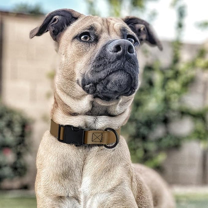 Dogline Biothane Waterproof Dog Collar with Quick Release Buckle Strong Coated Nylon Webbing with Odor- Proof for Easy Care Easy to Clean Fits Small Medium Large Dogs, Coyote Brown 3/4" W 12-19" L