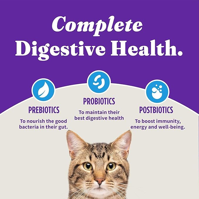 Halo Holistic Cat Food Wild Caught Salmon &amp; Whitefish Formula, Healthy Grains Dry Cat Food, For Sensitive Stomach Support, Kibble for Adult Cats, 6 lb Bag