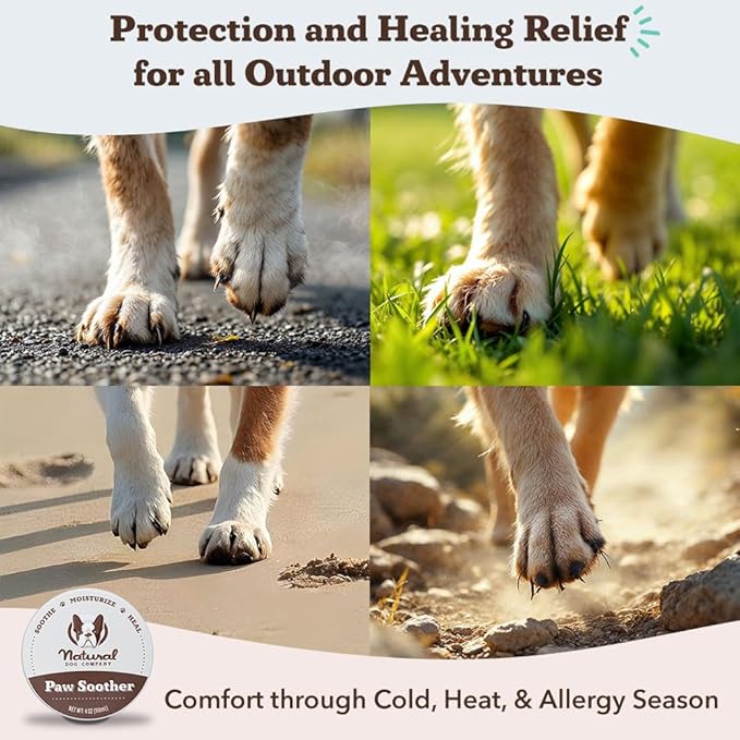 Natural Dog Company Paw Soother Balm &amp; Wax for Dogs 4 oz Tin – Organic Moisturizing Relief for Dry, Cracked Paws, Lick - Safe–Repairs &amp; Heals–Protects Against Extreme Weather – Coconut Oil &amp; Vitamin E
