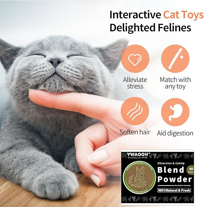 Catnip &amp; Silvervine Powder – 50g Blend of Silvervine Gall Fruit &amp; Catnip, Non-Addictive, for All Cat Ages, Multi-Use with Toys, Scratchers &amp; Protecting Furniture, with 5 Little Pouches