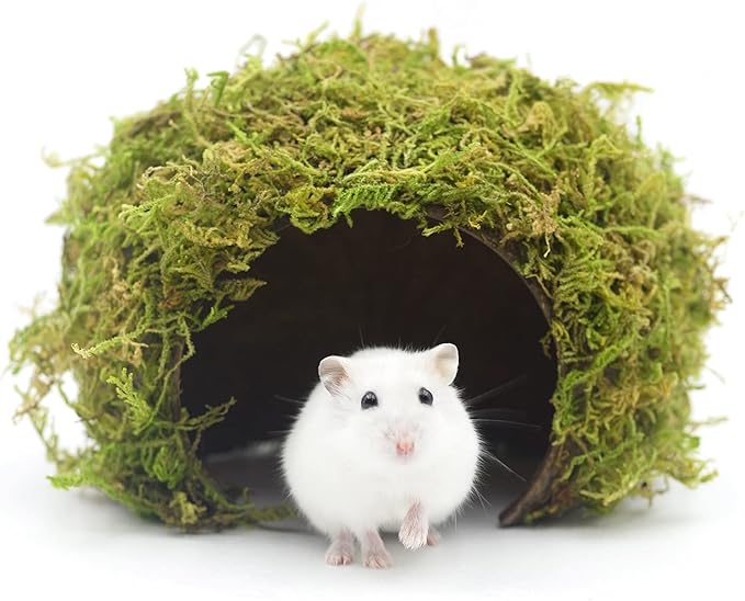 Hamster Hideout - Large, Natural Moss, Handcrafted for Syrian Hamsters, Rats &amp; Guinea Pigs, Safe &amp; Eco-Friendly