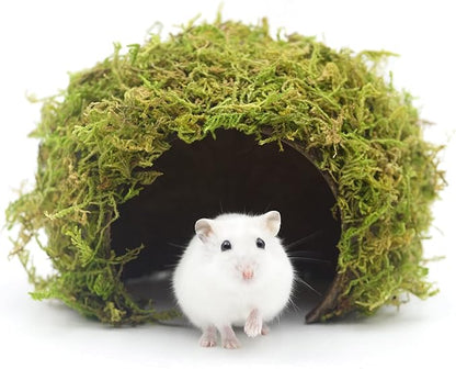 Hamster Hideout - Large, Natural Moss, Handcrafted for Syrian Hamsters, Rats &amp; Guinea Pigs, Safe &amp; Eco-Friendly
