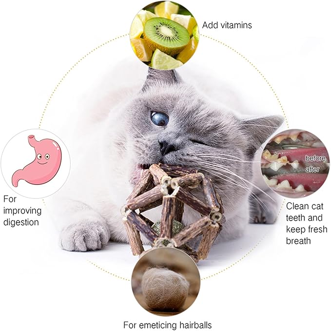 Catnip Toys-2Pcs Natural Silvervine Stick Catnip Ball&amp;Bell Ball-Cat Toys for Indoor Cats- Cleaning Teeth Molar Tools Matatabi Cat Chew Toy-Kitten Toys All Breeds
