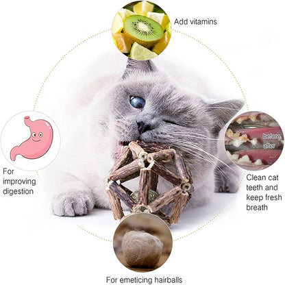 Catnip Toys-2Pcs Natural Silvervine Stick Catnip Ball&amp;Bell Ball-Cat Toys for Indoor Cats- Cleaning Teeth Molar Tools Matatabi Cat Chew Toy-Kitten Toys All Breeds