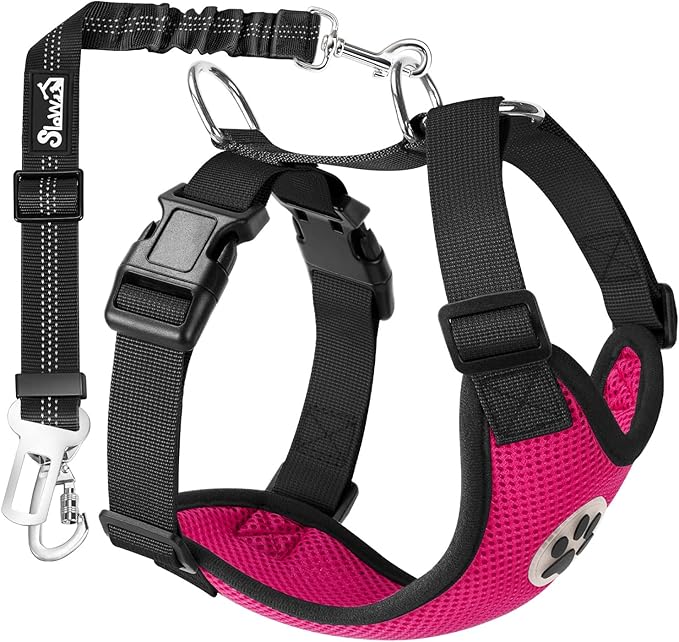 SlowTon Dog Seat Belt Harness for Car, Dog Car Harness Adjustable Mesh Breathable &amp; Dog Seatbelt Safety Tether with Elastic Bungee for Small Medium Large Pets(Fuchsia, Double Clip, M)