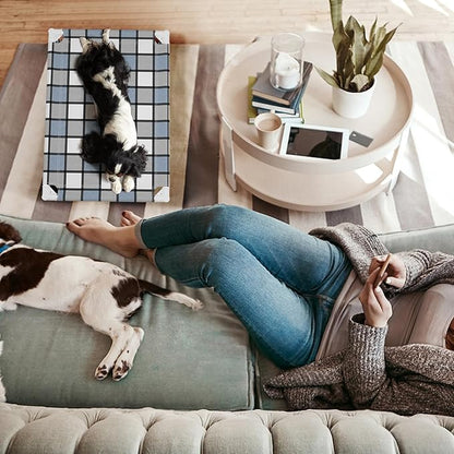 Elevated Outdoor Raised Dog Bed Outdoor Dogs Bed Lifted Pet Bed Dog Cot for Pet Taste Life, Start with A Pet Bed 26&