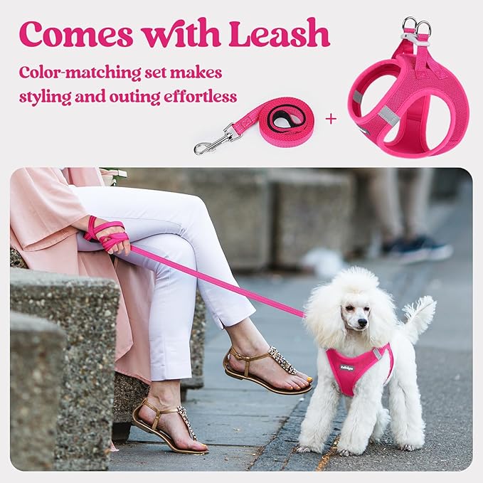 rabbitgoo Dog Harness Medium Sized and Leash Set, Step in Soft Light Puppy Vest, Breathable Mesh Pet Harness, Reflective for Safe Easy Walking, Rosa Red XXL