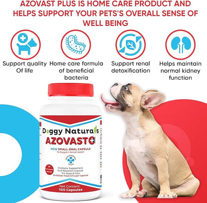 Azovast Plus Kidney Health Supplement for Dogs &amp; Cats, 120ct - NO Refrigeration Required - Help Support Kidney Function &amp; Manage Renal Toxins - Renal Care Supplement Capsule(U.S.A) (120 Caps)