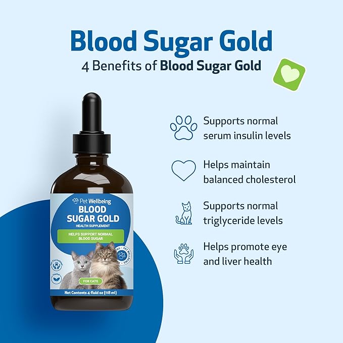 Pet Wellbeing Blood Sugar Gold for Cats - Healthy Blood Sugar Levels, Pancreas &amp; Liver Function, Devil’s Club, Gymnema - Veterinarian-Formulated Herbal Supplement 4 oz (118 ml)